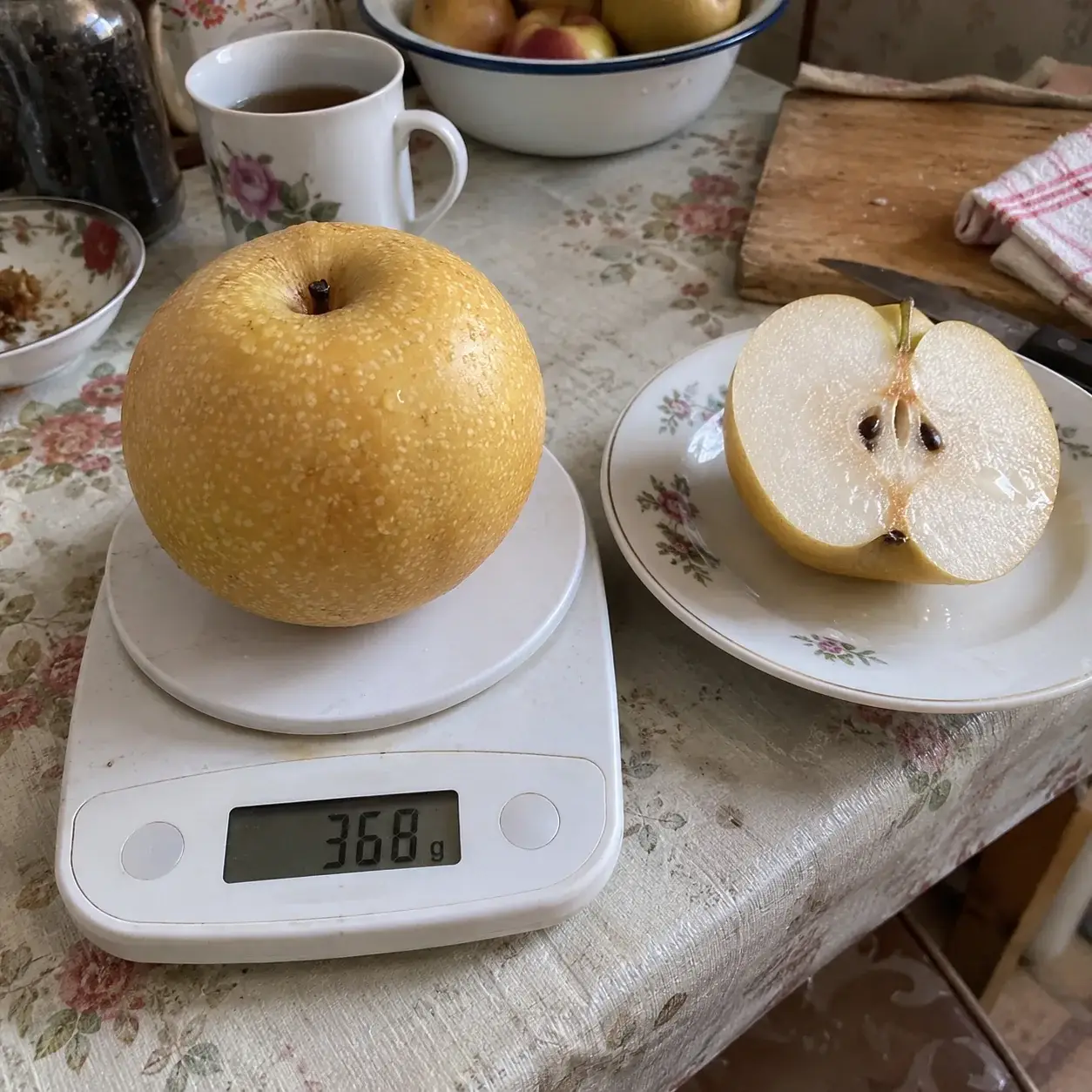 Груша «Наші» на вагах